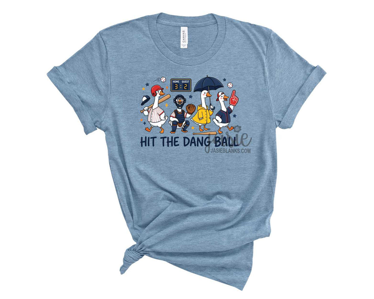 Goose Hit The Dang Ball - Transfer