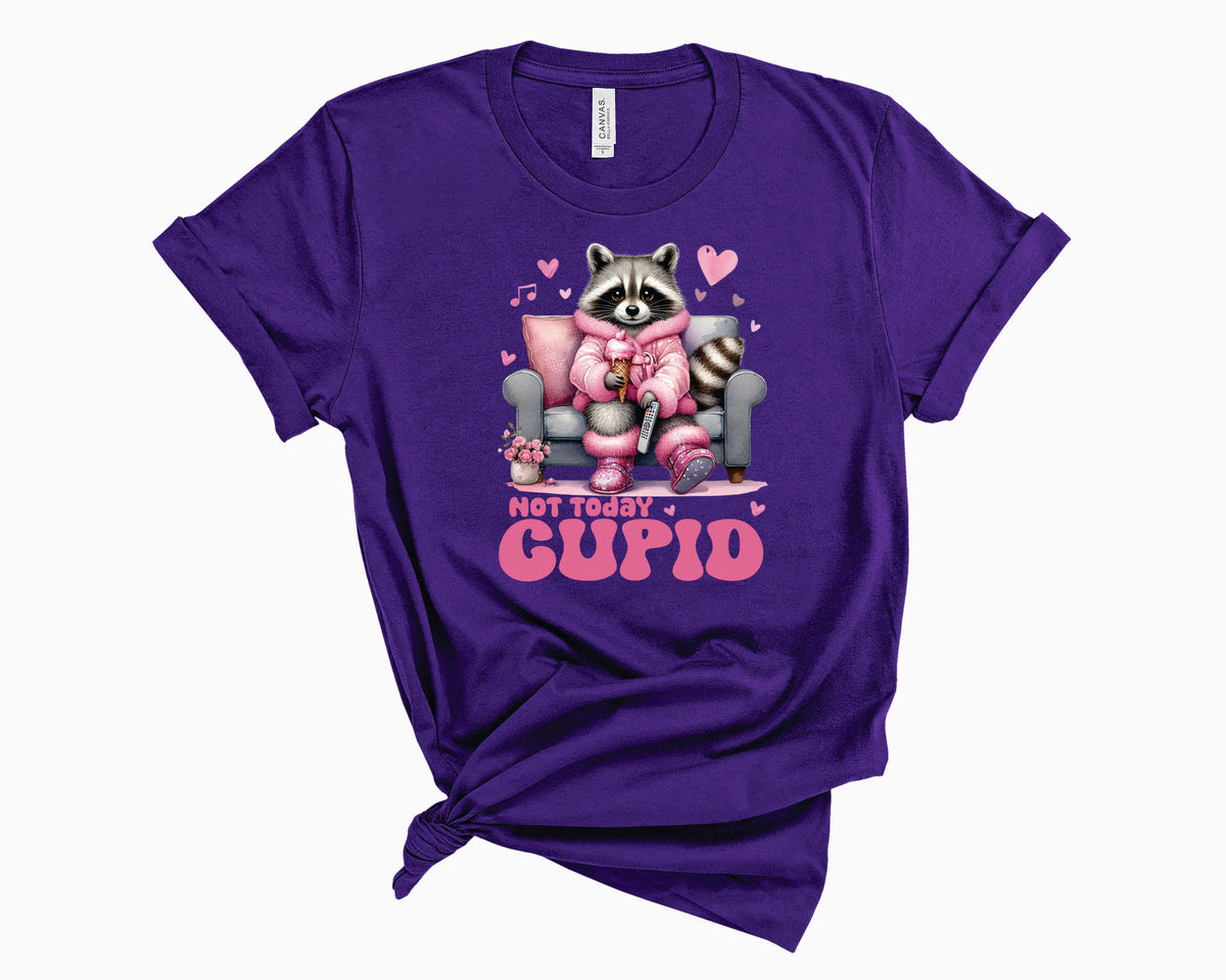 Raccoon Not Today Cupid - Transfer