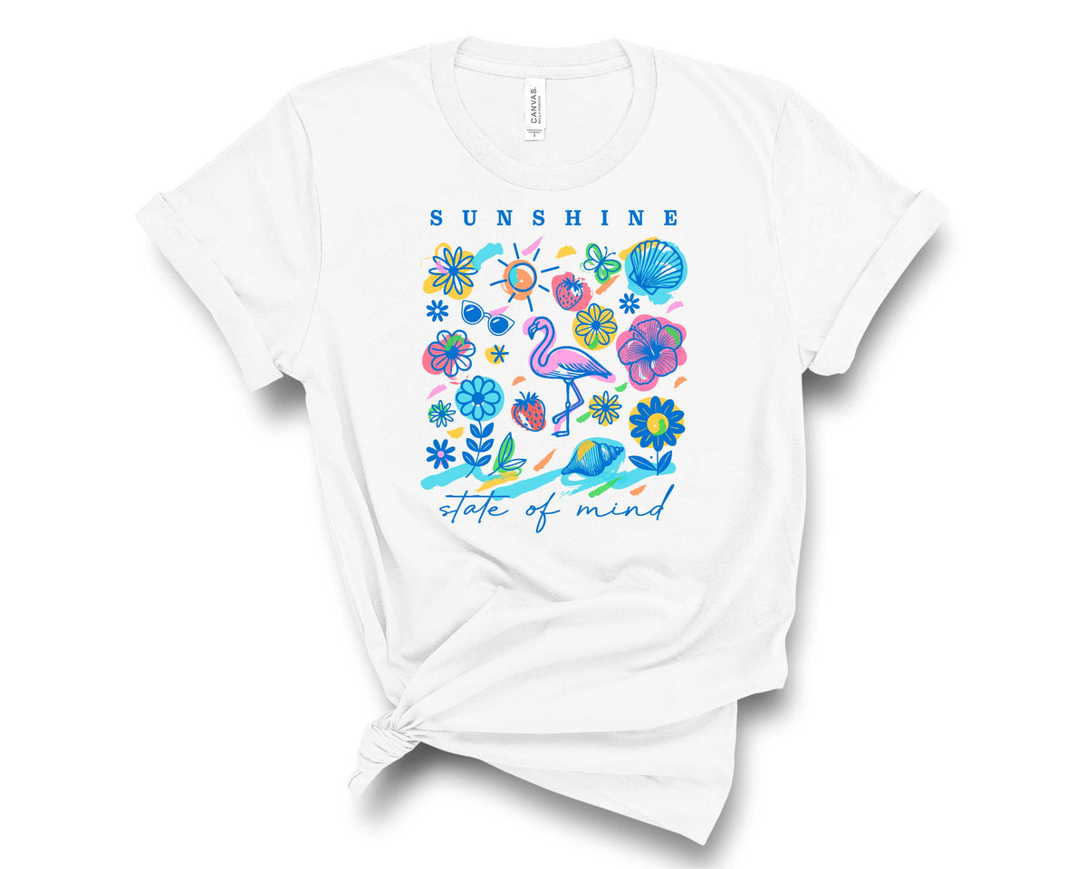 Sunshine State of Mind - Transfer