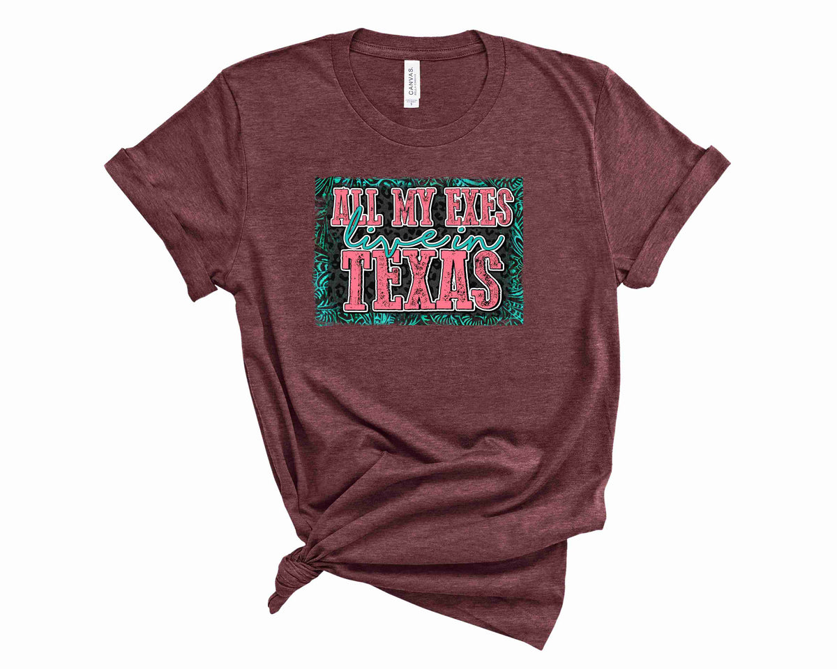 All My Exes Live in Texas - Transfer