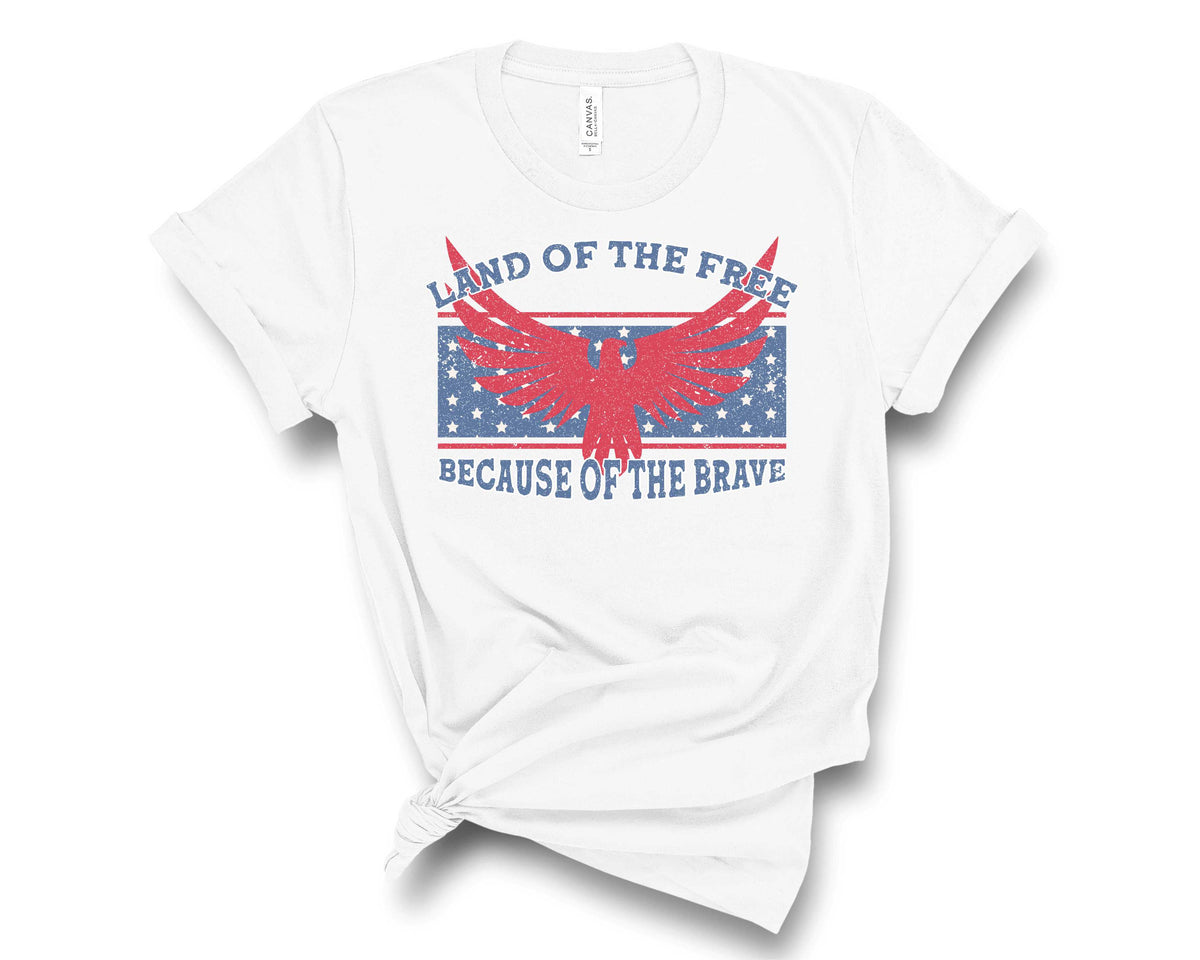 Land of the Free Eagle - Transfer