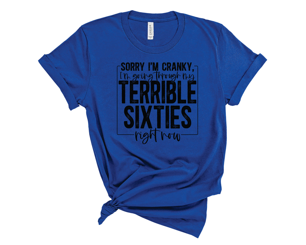 Terrible Sixties - Transfer