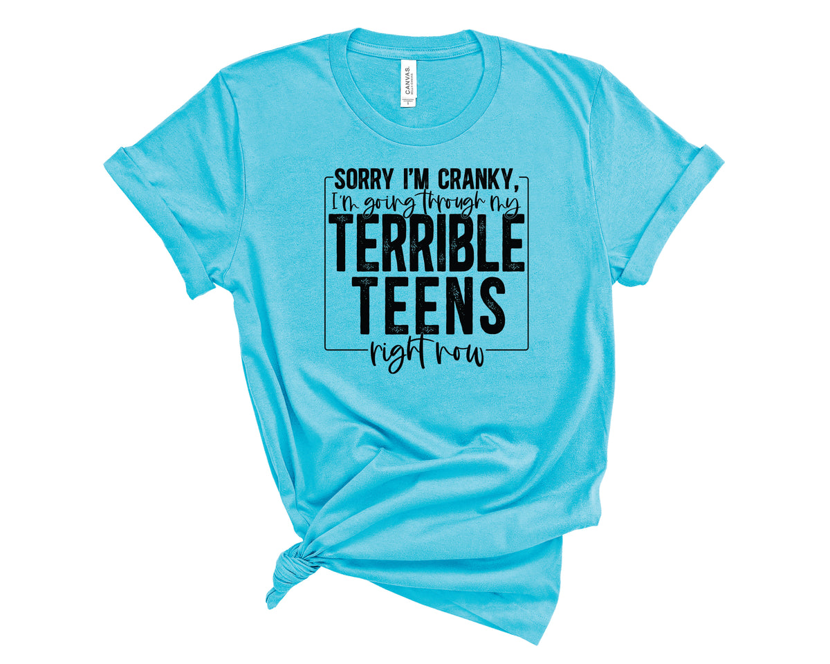 Terrible Teens - Transfer