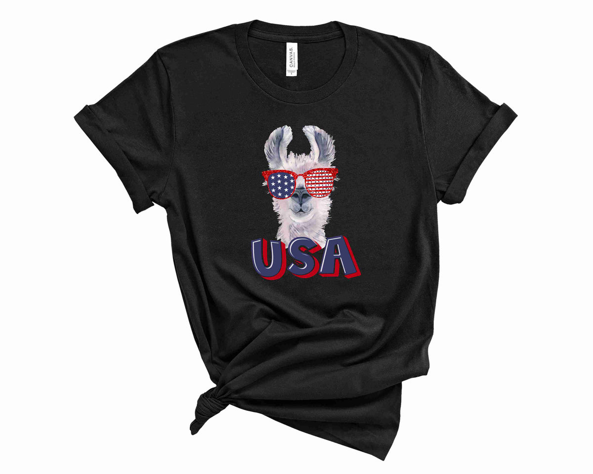USA lama - Transfer
