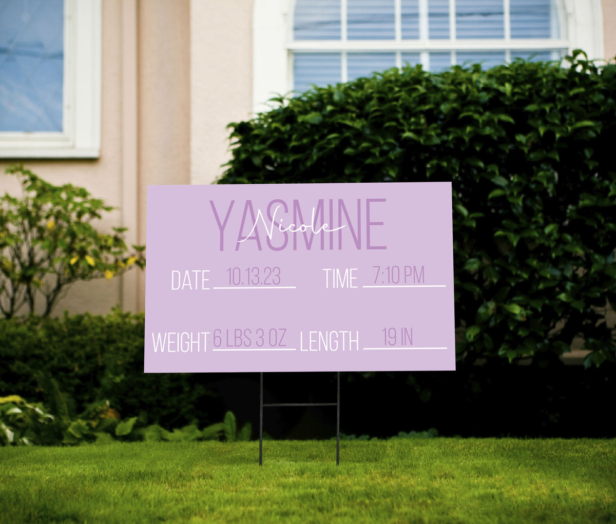 Pastel Birth Announcement Yard Sign