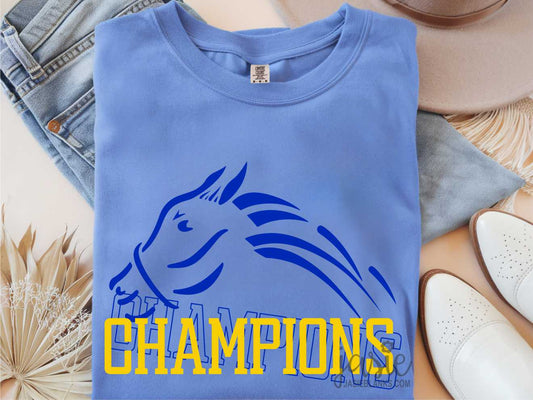 ECES Champions 20 - Transfer