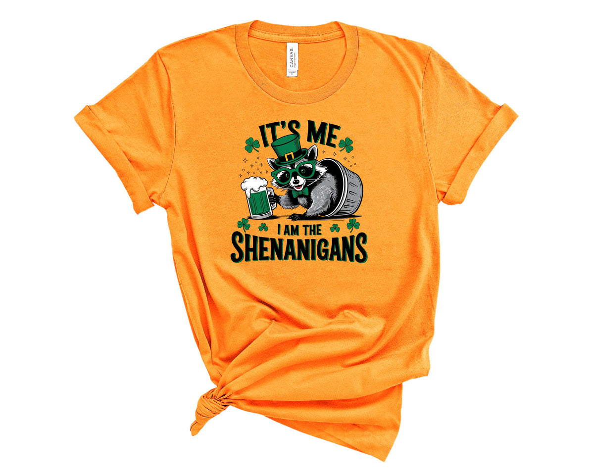 Its Me I Am the Shenanigans - Transfer