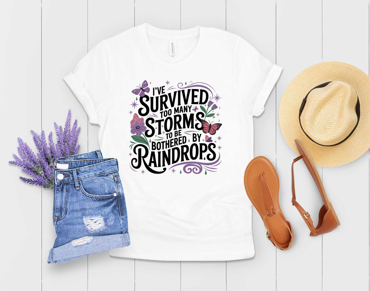 Ive Survived Too Many Storms - Transfer
