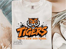 Tigers-22  - Transfer
