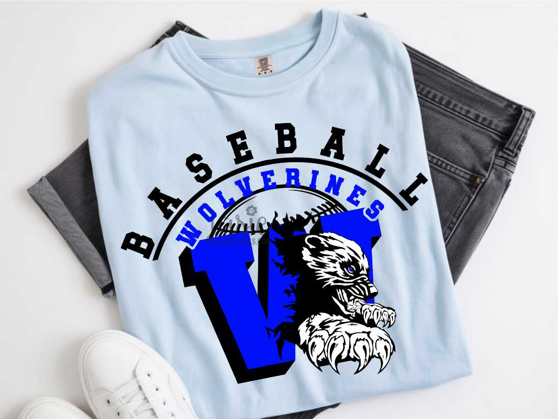 WOHS Baseball 2 - Transfer