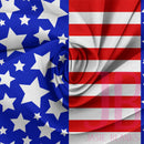 Stars and Stripes Fabric