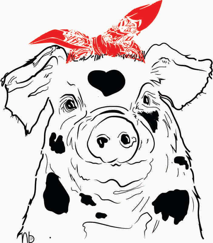 Selected Variant Image