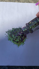 Chunky Glitter - Dragon Scales